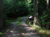 Denemarken-09-(209).gif (215326 bytes)