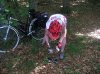 Denemarken-09-(210).gif (235350 bytes)