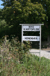 Denemarken-09-(249).gif (203636 bytes)