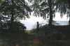 Denemarken-09-(284).gif (178370 bytes)