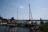 Denemarken-09-(303).gif (145971 bytes)