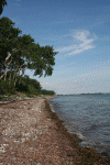 Denemarken-09-(313).gif (161582 bytes)