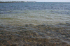 Denemarken-09-(315).gif (176584 bytes)