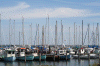 Denemarken-09-(328).gif (143438 bytes)