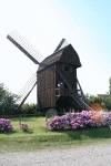 Denemarken-09-(376).gif (117135 bytes)
