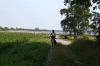 Denemarken-09-(396).gif (158895 bytes)