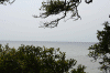 Denemarken-09-(398).gif (137491 bytes)