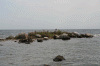Denemarken-09-(409).gif (136209 bytes)