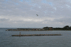 Denemarken-09-(422).gif (141273 bytes)