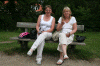 Denemarken-09-(433).gif (173946 bytes)