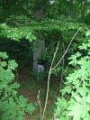 Denemarken-09-(43).gif (234139 bytes)