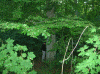 Denemarken-09-(44).gif (237700 bytes)