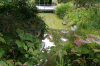 Denemarken-09-(451).gif (209910 bytes)