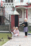 Denemarken-09-(458).gif (186050 bytes)