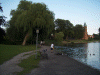 Denemarken-09-(51).gif (172414 bytes)