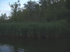 Denemarken-09-(54).gif (152744 bytes)