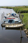 Denemarken-09-(92).gif (135569 bytes)