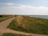 Denemarken-09-(93).gif (170667 bytes)