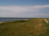 Denemarken-09-(97).gif (170388 bytes)