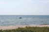 Denemarken-09-(99).gif (118650 bytes)
