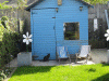 Garden-2011-b.gif (231229 bytes)