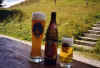 Brixen 2002 dorst.jpg (131582 bytes)