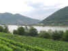 Donau (227).jpg (75147 bytes)